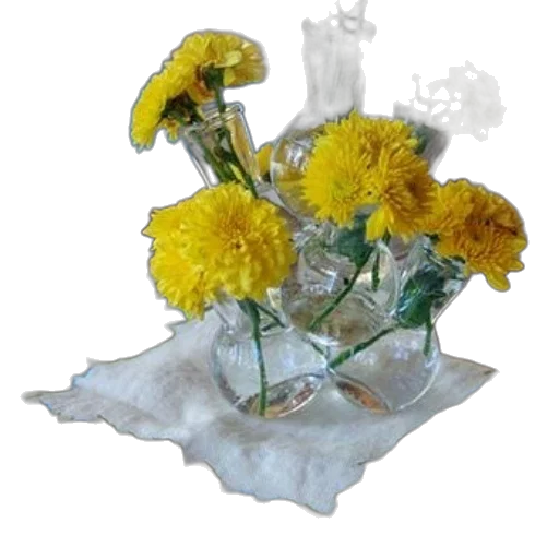 flower, crown, jewelry, photorealistic transparent PNG cut-out