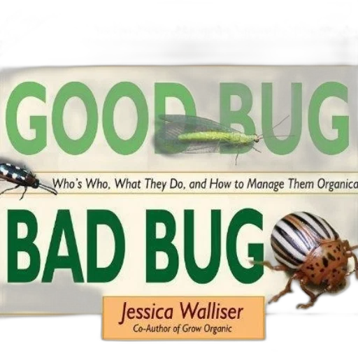 good, bug, bad, all transparent PNG cut-out
