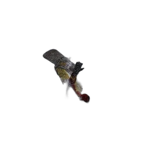 staff, weapon, animal, sword transparent PNG cut-out