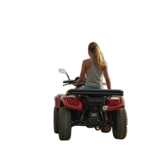 car, robot, weapon, animal transparent PNG cut-out