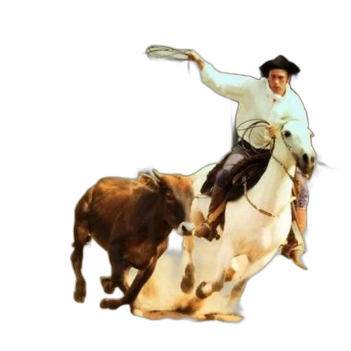 animal, staff, weapon, hat transparent PNG cut-out