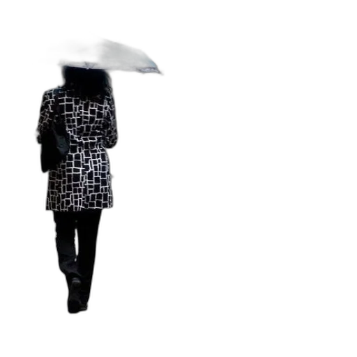 umbrella, jacket, dress, staff transparent PNG cut-out