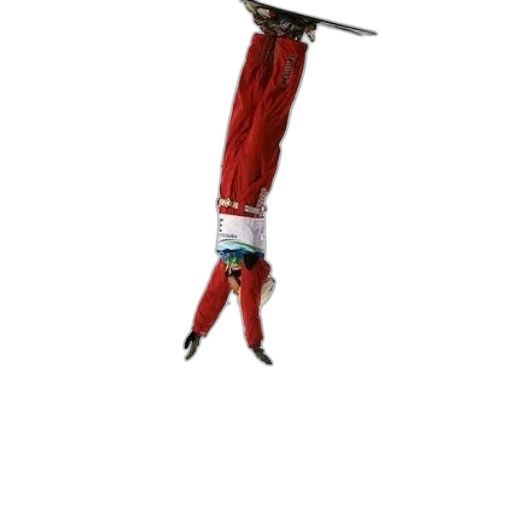 staff, sword, animal, weapon transparent PNG cut-out