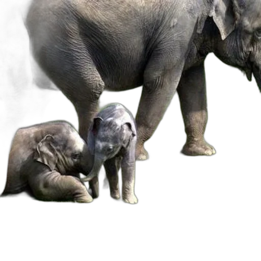 animal, creature, photorealistic, concept art transparent PNG cut-out