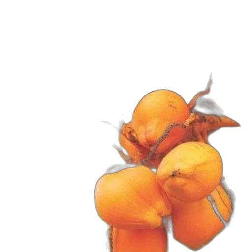 flower, weapon, food, staff transparent PNG cut-out