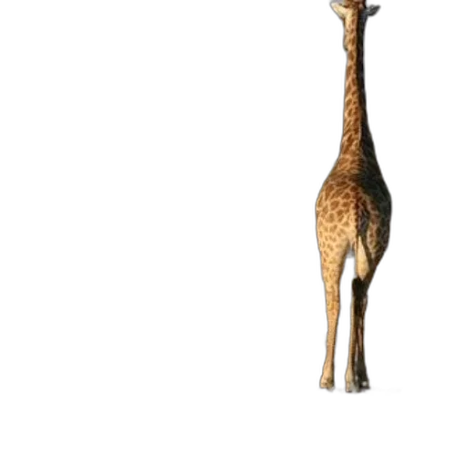 animal, staff, creature, weapon transparent PNG cut-out