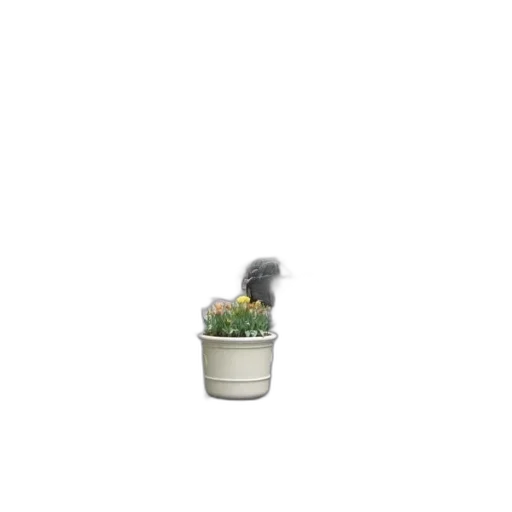 hat, hair, flower, staff transparent PNG cut-out
