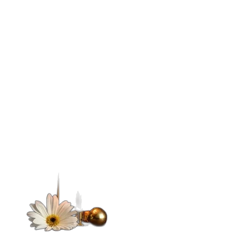 jewelry, weapon, furniture, flower transparent PNG cut-out