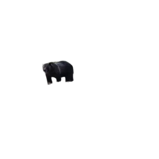 animal, furniture, creature, weapon transparent PNG cut-out