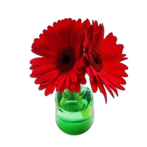 flower, bottle, crown, shoes transparent PNG cut-out
