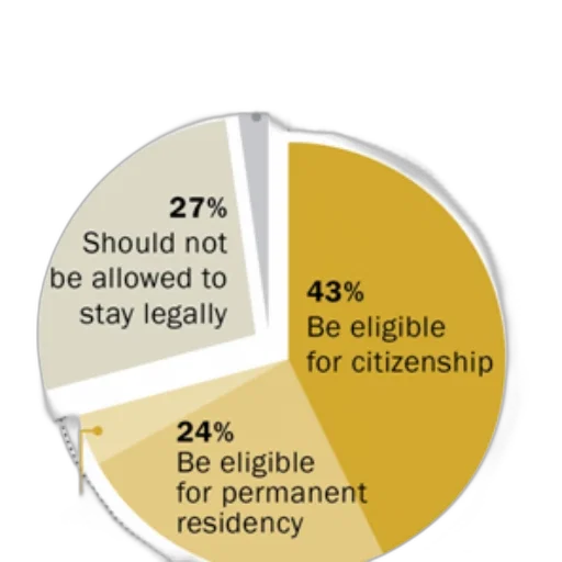 pie, chart, showing, public transparent PNG cut-out