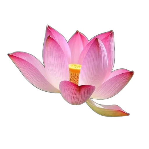 flower, jewelry, crown, staff transparent PNG cut-out