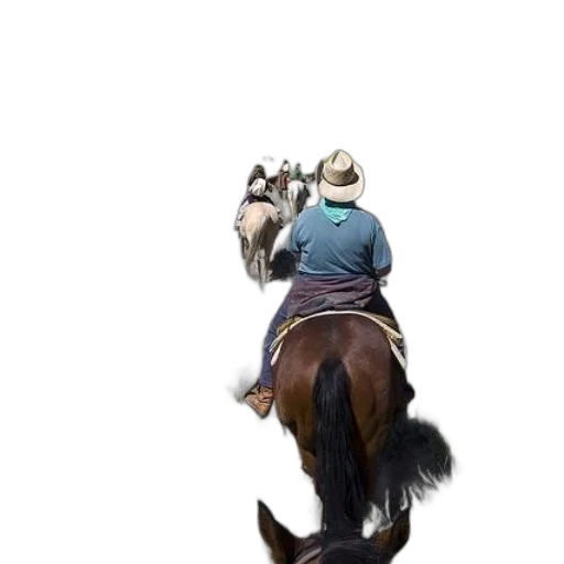hat, animal, staff, jacket transparent PNG cut-out