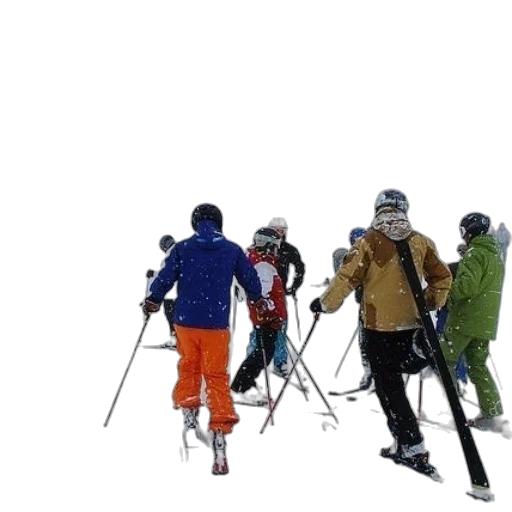 staff, snow, group, skiers transparent PNG cut-out
