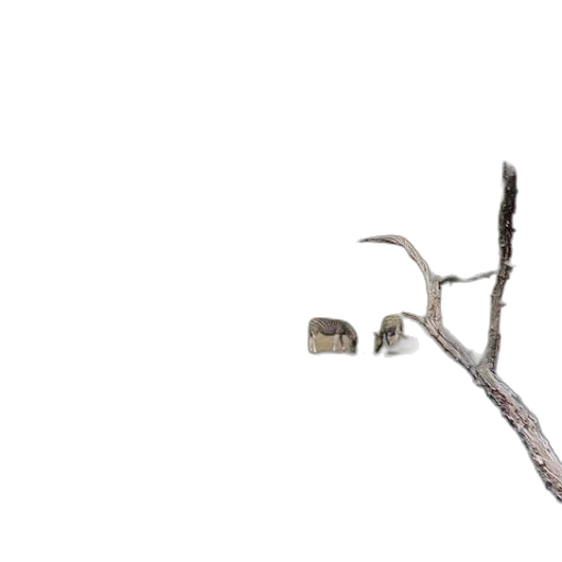 tree, animal, staff, furniture transparent PNG cut-out