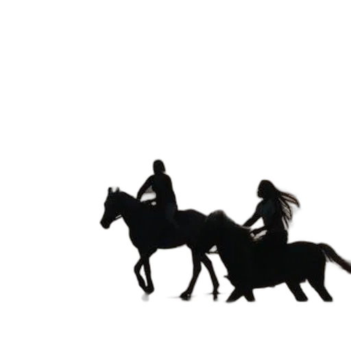 crown, animal, hat, hair transparent PNG cut-out