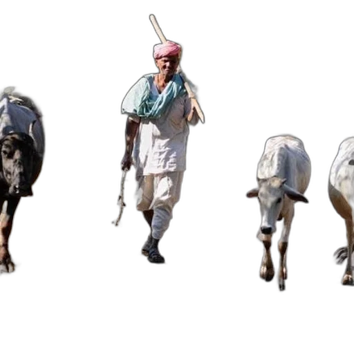 animal, staff, concept art, photorealistic transparent PNG cut-out