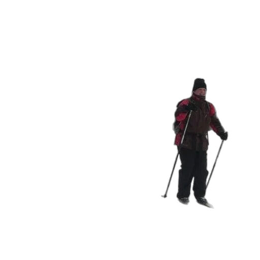 staff, weapon, animal, creature transparent PNG cut-out