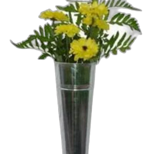 flower, staff, crown, jewelry transparent PNG cut-out