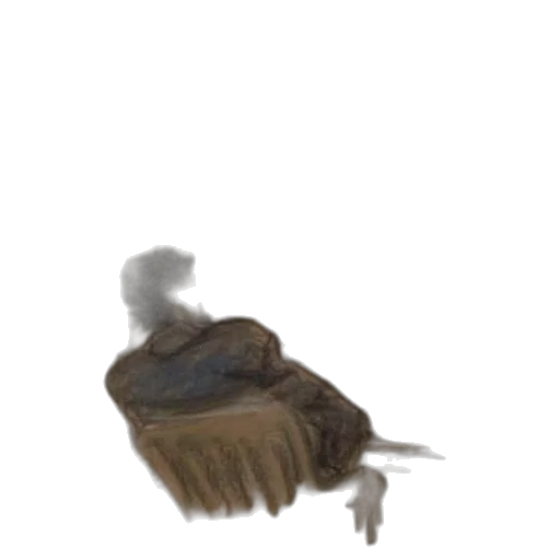 hair, shoes, hat, creature transparent PNG cut-out