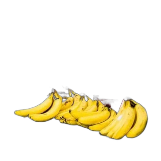food, shoes, animal, weapon transparent PNG cut-out