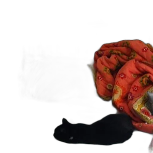 mask, hat, crown, creature transparent PNG cut-out