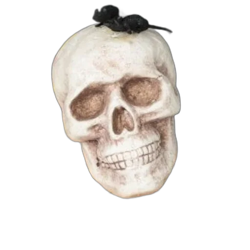 mask, face, hat, jewelry transparent PNG cut-out