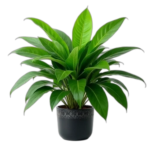flower, photorealistic, 3d render, lush transparent PNG cut-out