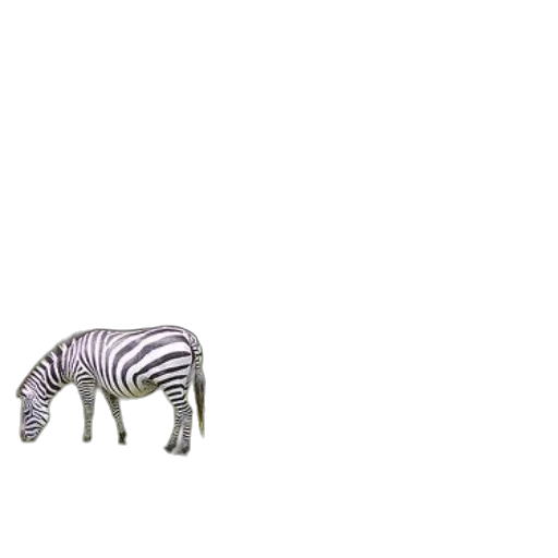 animal, creature, furniture, robot transparent PNG cut-out