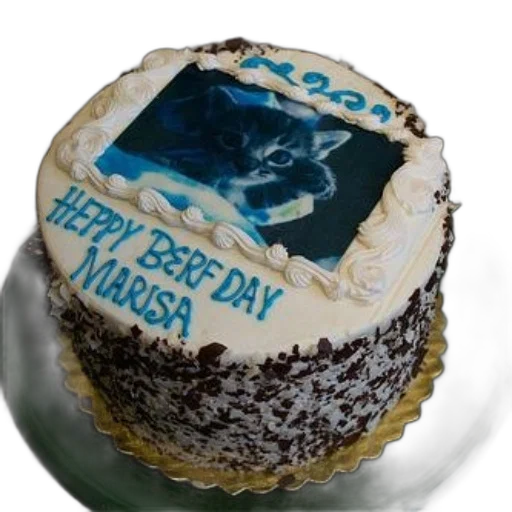 birthday, cake, picture, cat transparent PNG cut-out