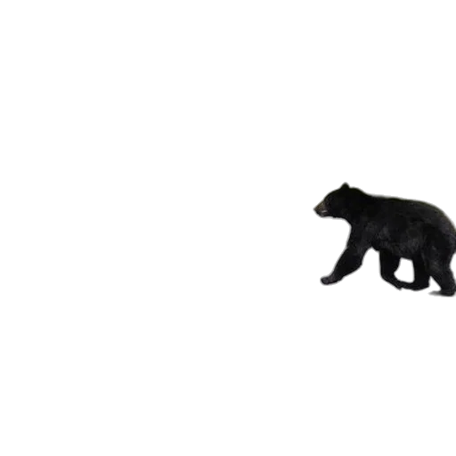 animal, creature, staff, weapon transparent PNG cut-out