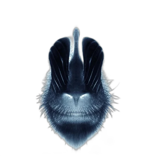hair, animal, mask, face transparent PNG cut-out
