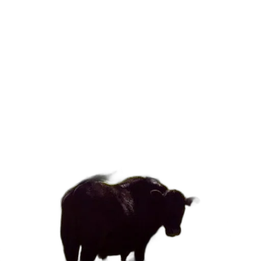 animal, creature, hair, dragon transparent PNG cut-out