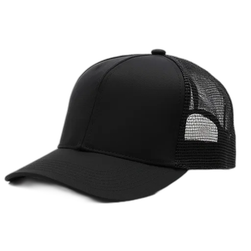 hat, crown, 3d render, black transparent PNG cut-out