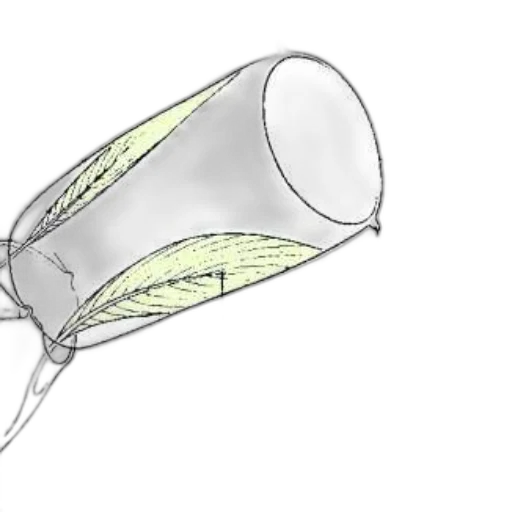 umbrella, staff, bottle, weapon transparent PNG cut-out