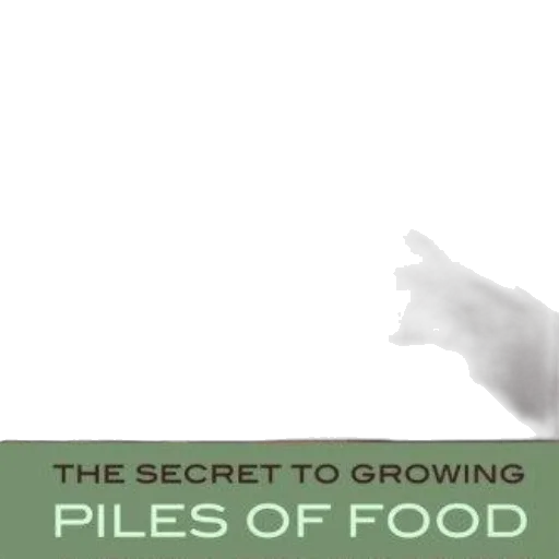 food, face, creature, easy transparent PNG cut-out