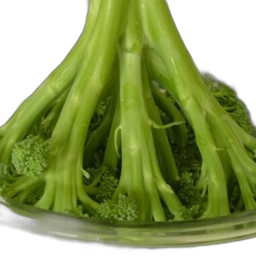 food, crown, hair, dress transparent PNG cut-out