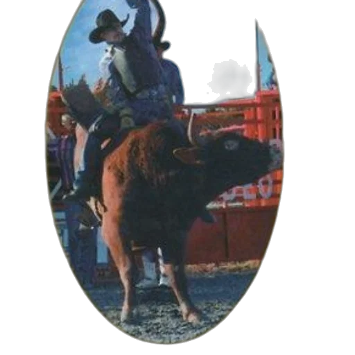 animal, staff, hat, jacket transparent PNG cut-out