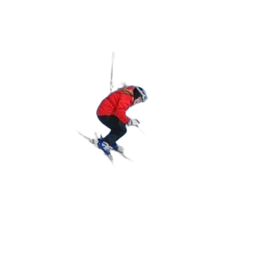 staff, animal, umbrella, jacket transparent PNG cut-out