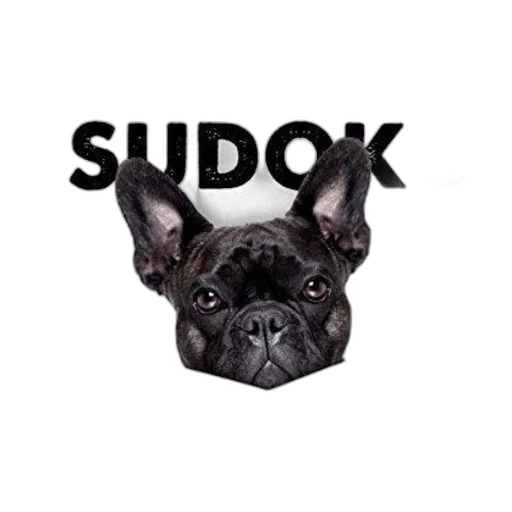 staff, mask, photorealistic, 3d render transparent PNG cut-out