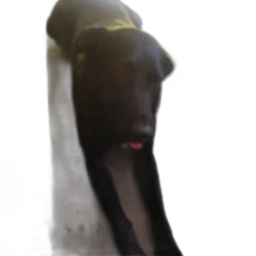 hat, animal, creature, staff transparent PNG cut-out