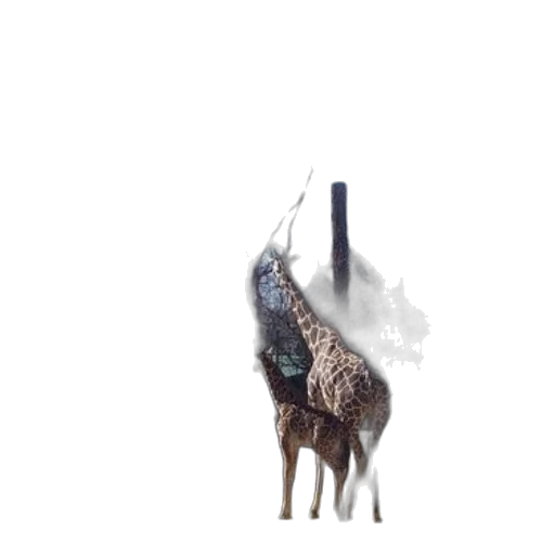 animal, creature, hair, mask transparent PNG cut-out