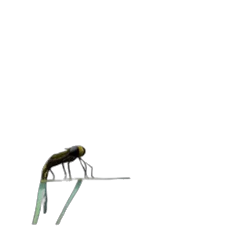 furniture, animal, creature, robot transparent PNG cut-out