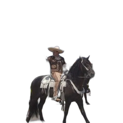 staff, hat, animal, weapon transparent PNG cut-out