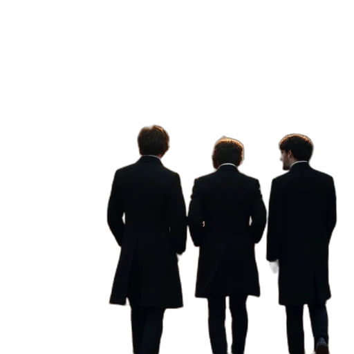 staff, jacket, crown, hair transparent PNG cut-out