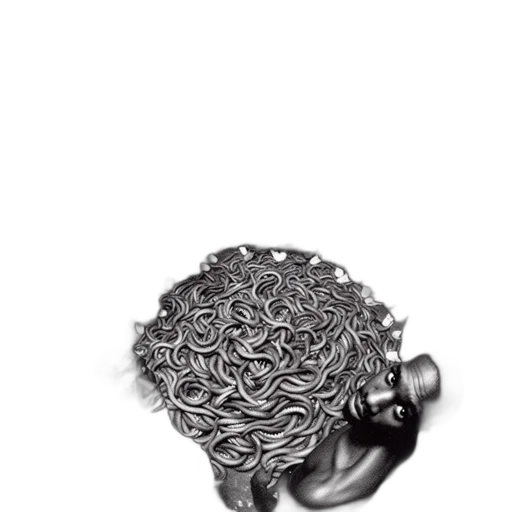 hair, crown, hat, creature transparent PNG cut-out