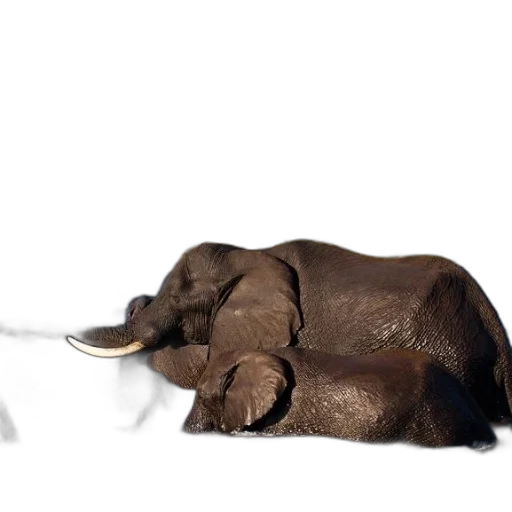 animal, staff, concept art, 3d render transparent PNG cut-out