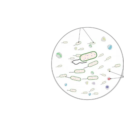 illustration, urinary, tract, infection transparent PNG cut-out