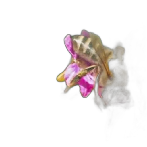 flower, jewelry, dragon, mask transparent PNG cut-out