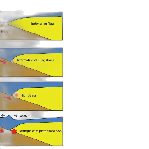 diagram, illustrates, differences, between transparent PNG cut-out